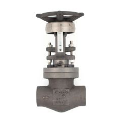 VOGT GLOBE 800# A105 - SW12443
