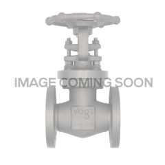 VOGT GLOBE 1500# A105 SW15821