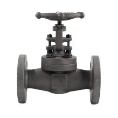 VOGT GLOBE 300# A105 483MM