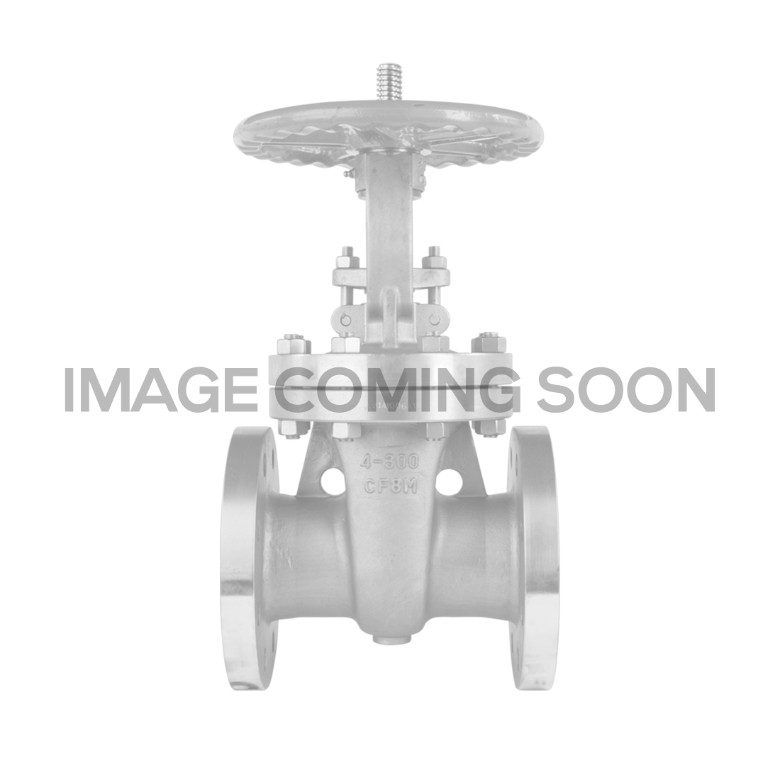 Vanne à Globe Manuelle Flowserve VOGT 2" 800# - Acier F316L - Réf SW12501F316T5 - Neuf Avec Garantie