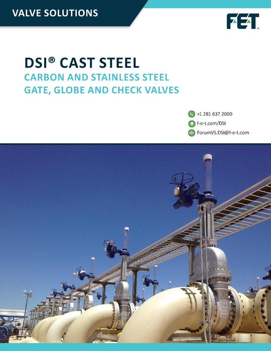 DSI Cast Steel Valves