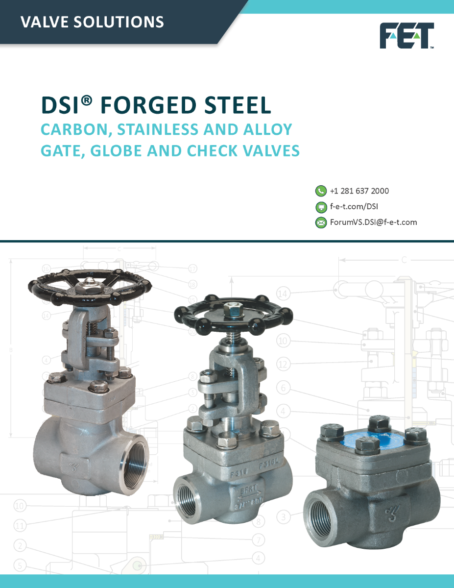 DSI Forged Steel Valves