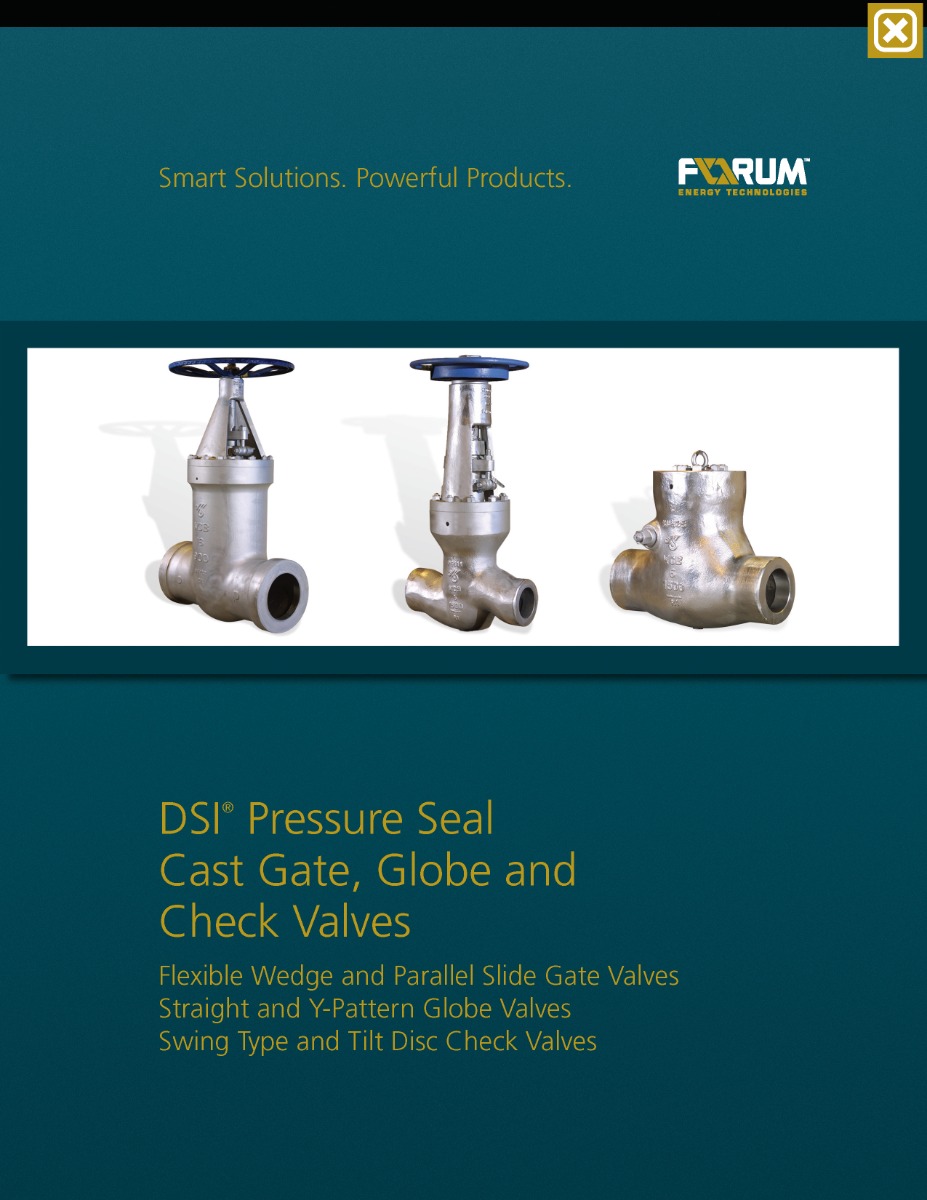 DSI Pressure Seal Valves